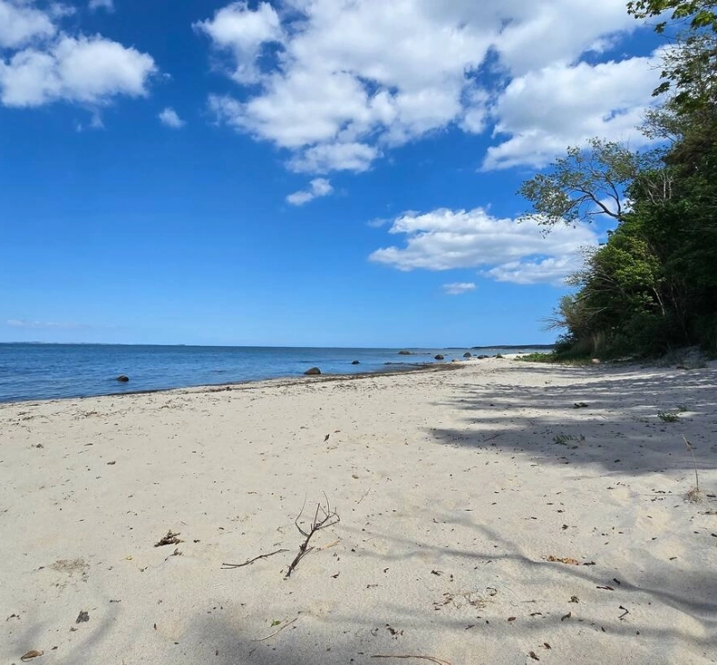 Bild vom Hundestrand