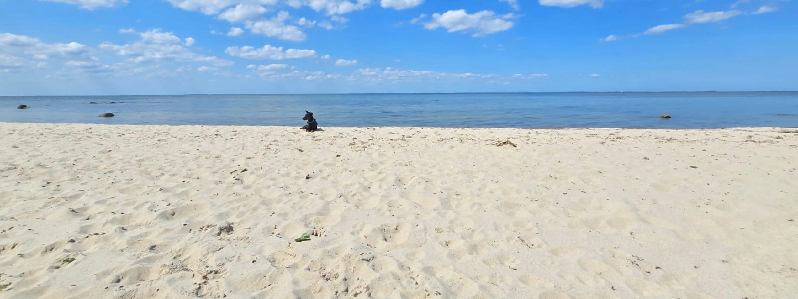 Bild vom Strand in Lubmin