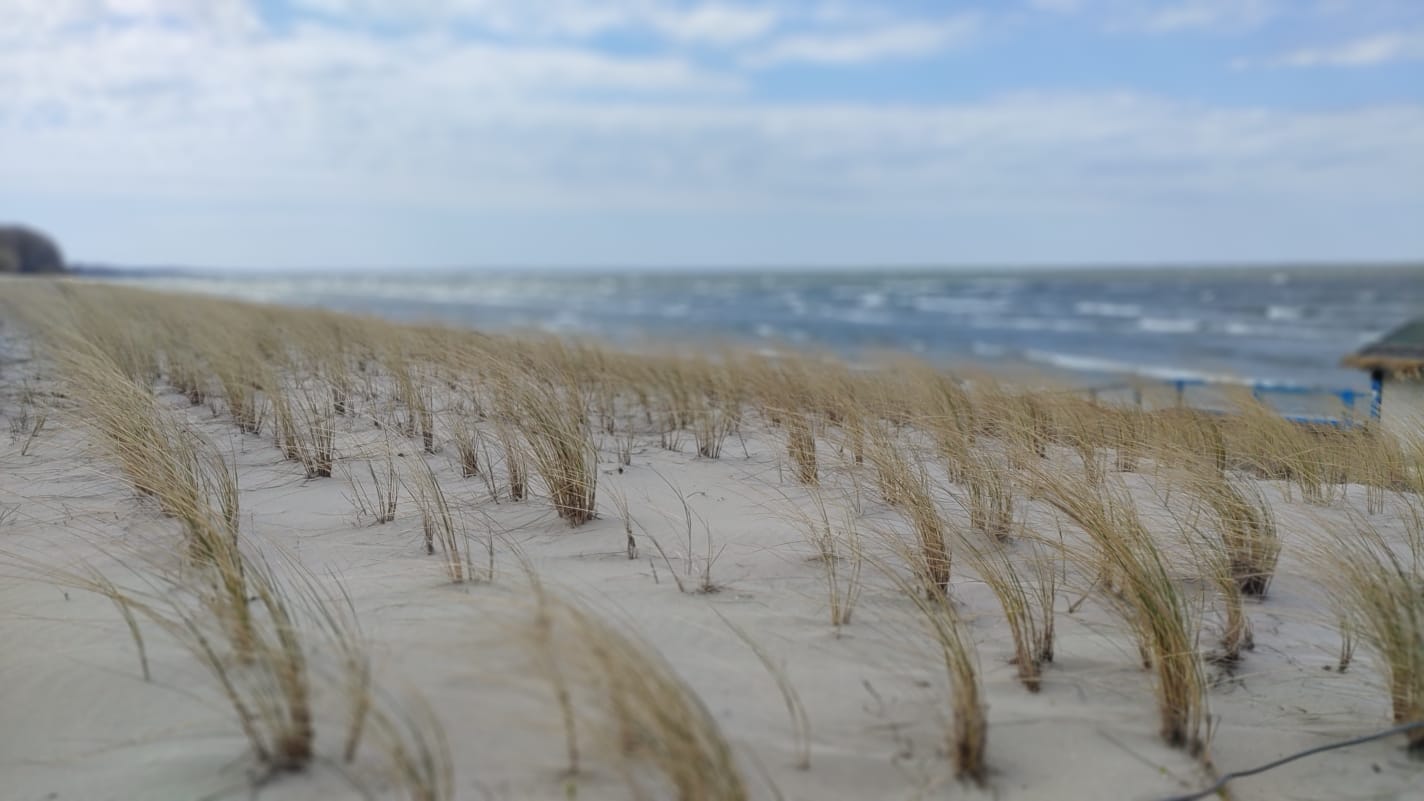 Strand Freest2